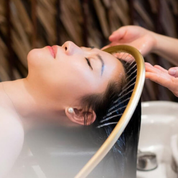 gội đầu dưỡng sinh